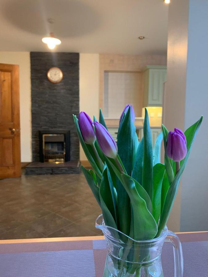 Ringfort Manor Rathfriland Εξωτερικό φωτογραφία
